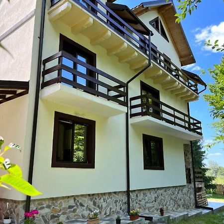 Hotel Cabana Din Padure Porumbacu de Sus Exterior foto