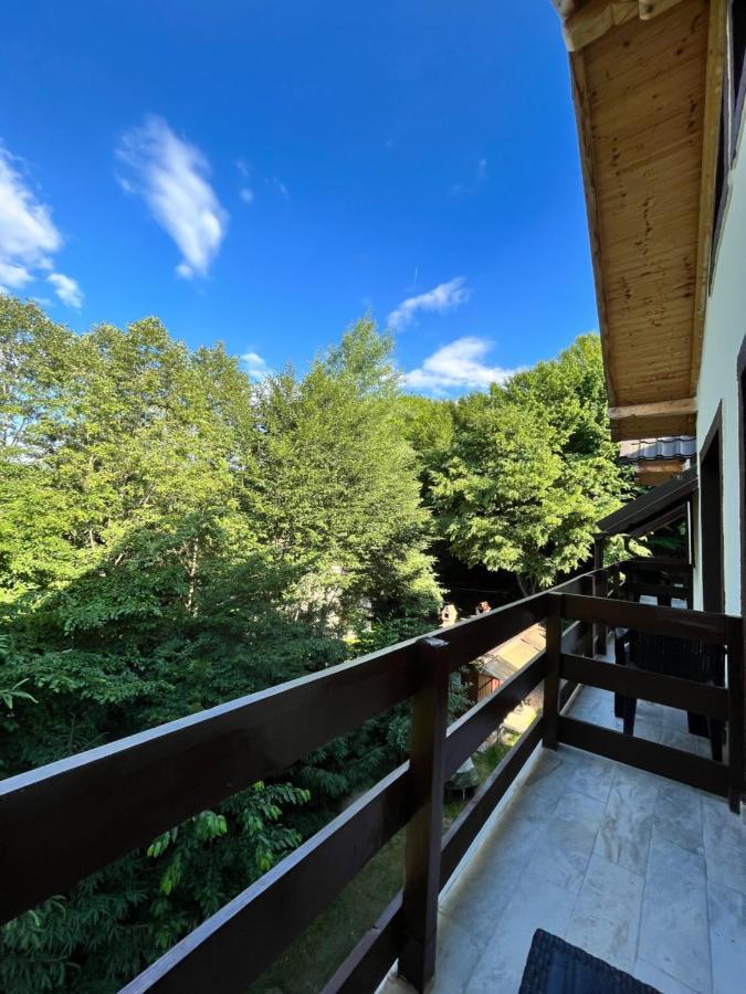 Hotel Cabana Din Padure Porumbacu de Sus Exterior foto
